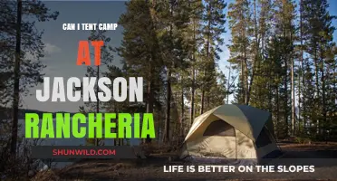 Tent Camping at Jackson Rancheria: Rules, Tips, and What to Expect