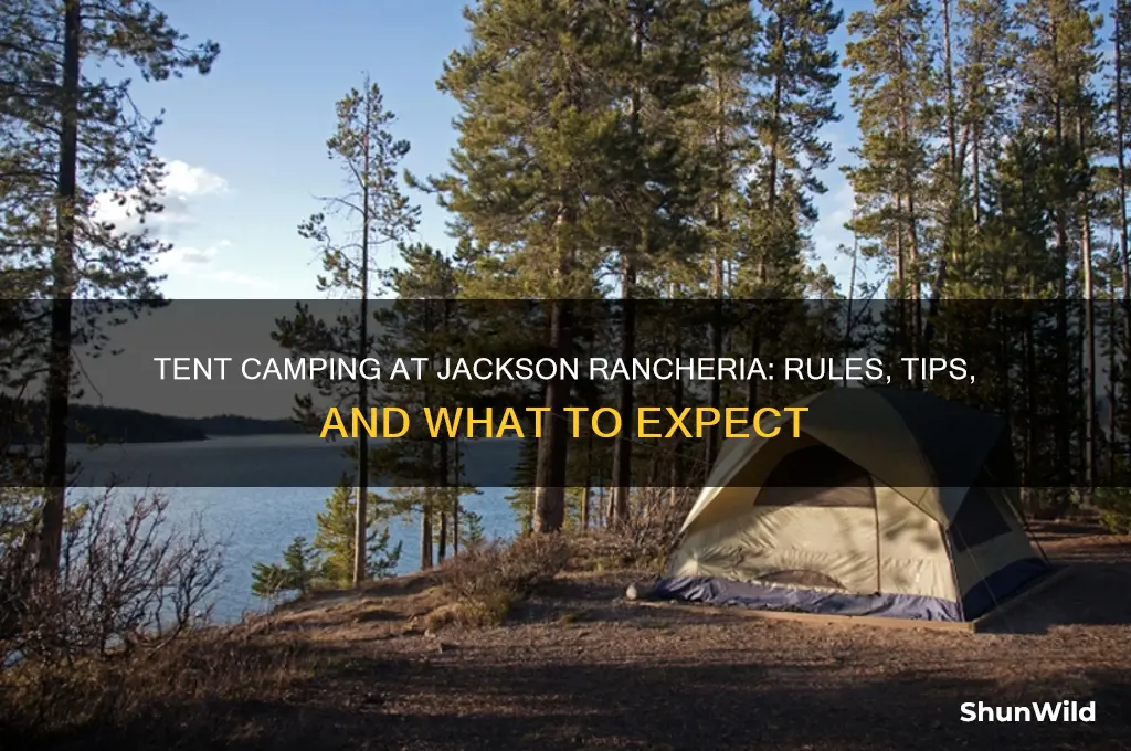 can i tent camp at jackson rancheria