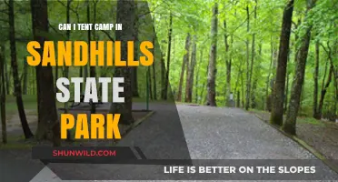 Tent Camping in Sandhills State Park: What You Need to Know