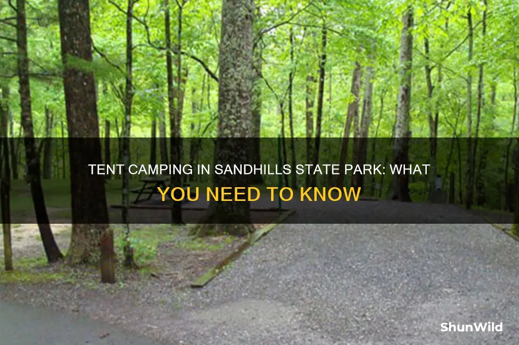 can i tent camp in sandhills state park