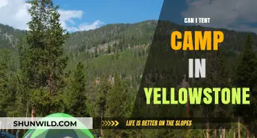 Tent Camping in Yellowstone: Tips, Rules, and Best Spots