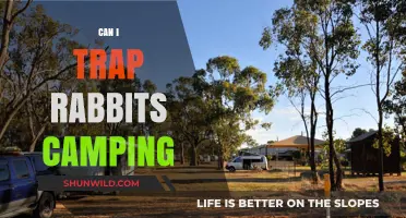 Camping and Rabbit Trapping: Tips for Catching Bunnies in the Wild