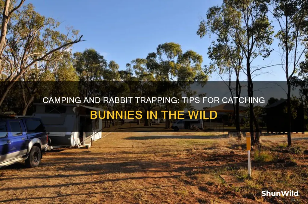 can i trap rabbits camping