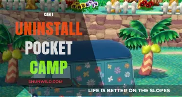 Should You Uninstall Pocket Camp? Pros, Cons, and Alternatives
