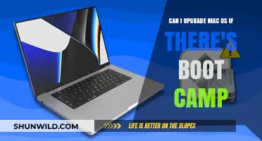 Upgrading macOS with Boot Camp: What You Need to Know