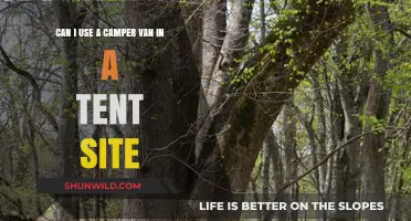 Camper Vans in Tent Sites: Rules, Tips, and What to Expect