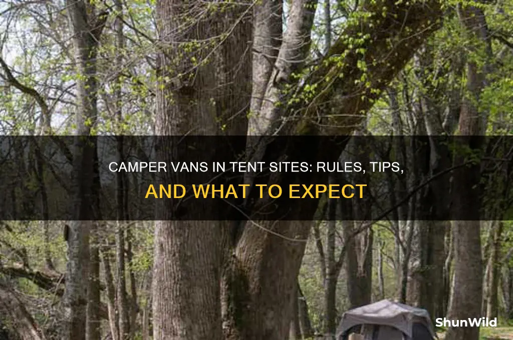 can i use a camper van in a tent site