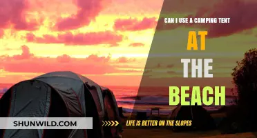 Beach Camping 101: Using Your Tent by the Shore