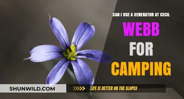 Camping at Cecil Webb: Generator Use Rules and Tips