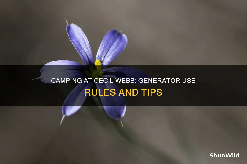 can i use a generator at cecil webb for camping