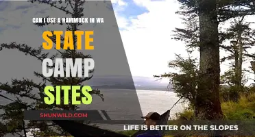 Hammock Camping in Washington State: Rules and Best Campsites