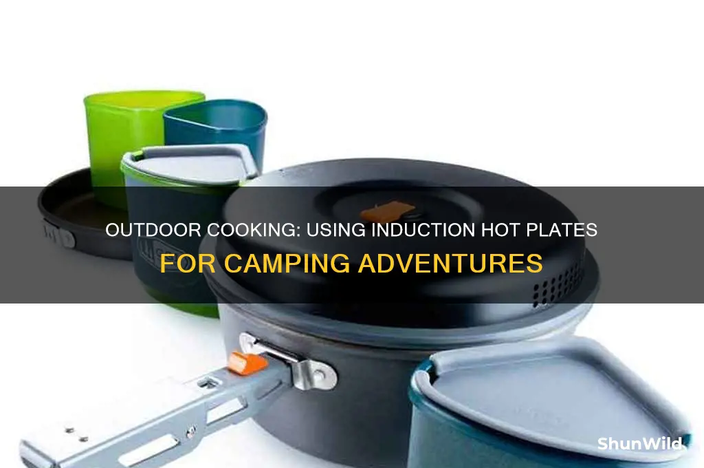 can i use a induction hot plate outside camping