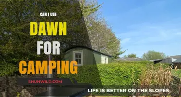 Dawn Dish Soap for Camping: Uses, Benefits, and Eco-Friendly Tips
