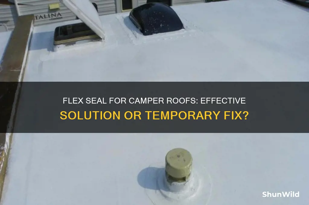 can i use flex seal on camper roof