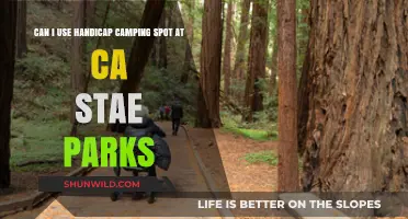 Handicap Camping Spots at CA State Parks: Rules and Accessibility