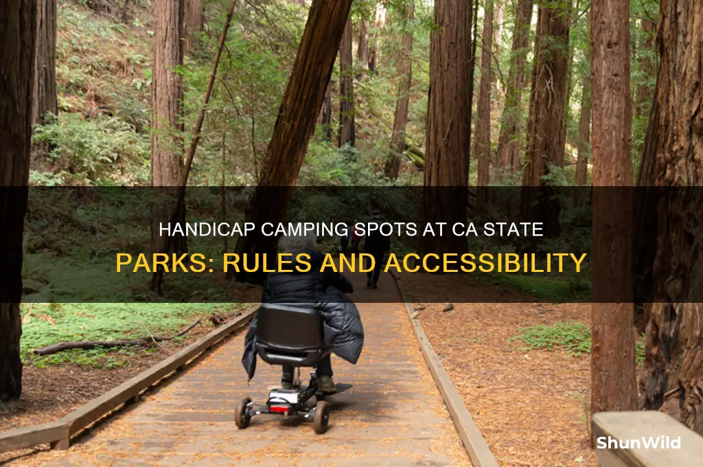 can i use handicap camping spot at ca stae parks