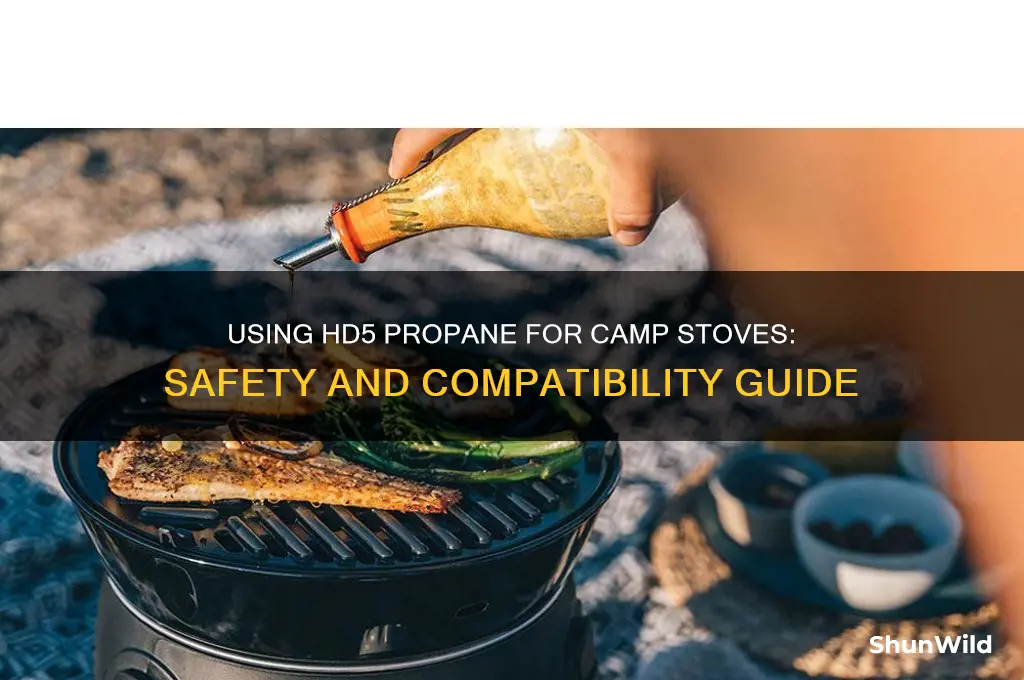 can i use hd5 propane for a camp stove