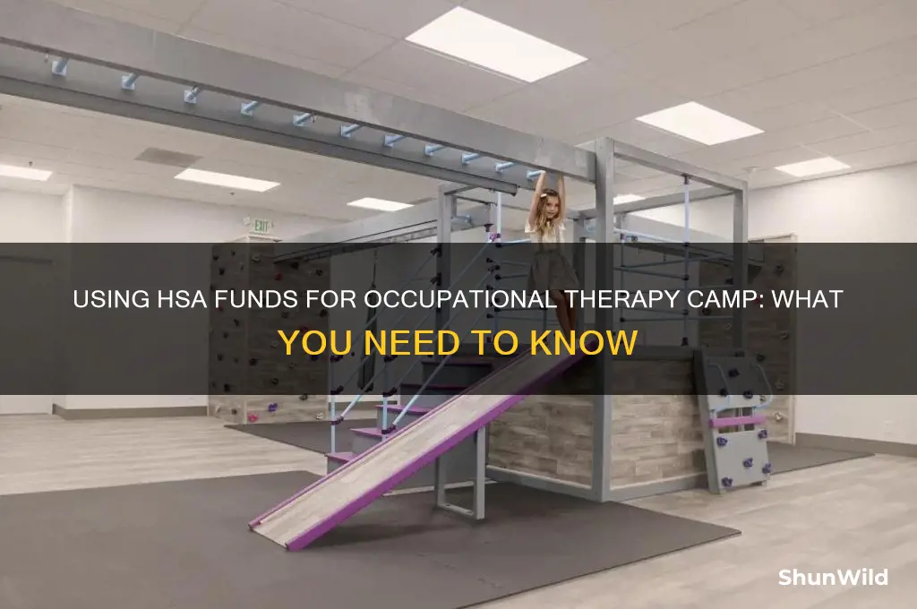 can i use hsa to pay for occupational therapy camp