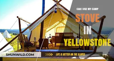 Using Your Camp Stove in Yellowstone: Rules, Tips, and Safety