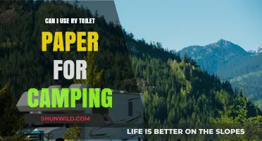 RV Toilet Paper for Camping: Eco-Friendly or Unnecessary Hassle?
