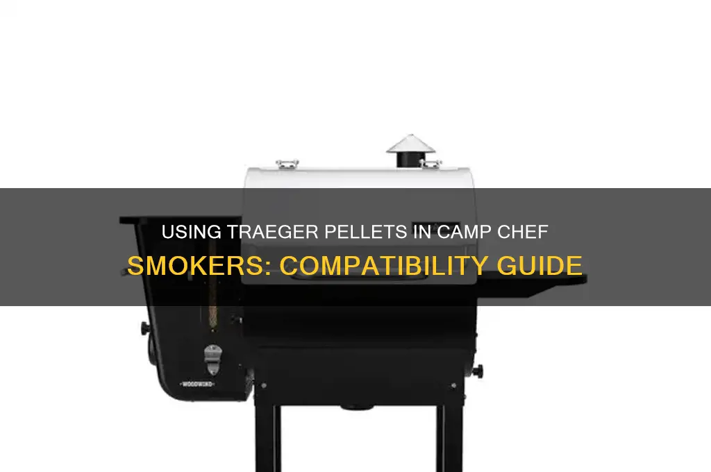 can i use traeger pellets in a camp chef smoker
