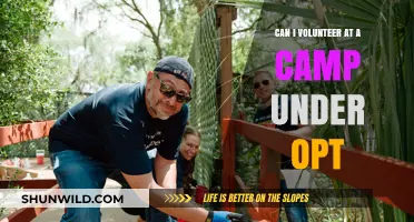 Volunteering at a Camp Under OPT: Legal Guidelines and Opportunities