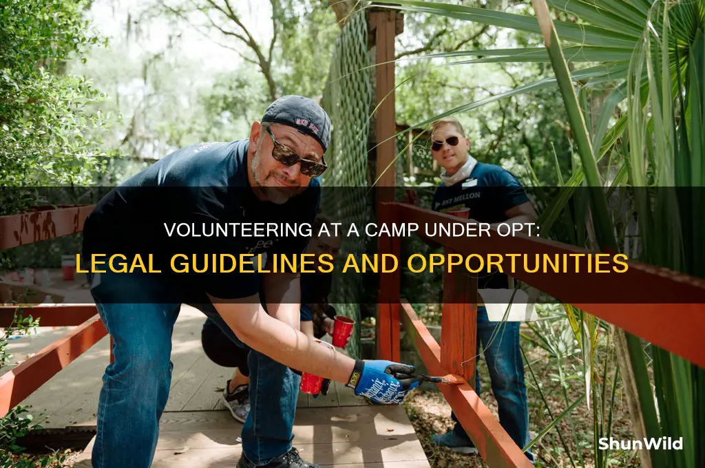 can i volunteer at a camp under opt