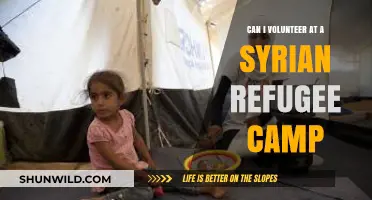 Volunteering at Syrian Refugee Camps: Opportunities, Requirements, and Impact
