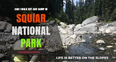 Exploring Sequoia National Park: Can You Walk In and Camp?