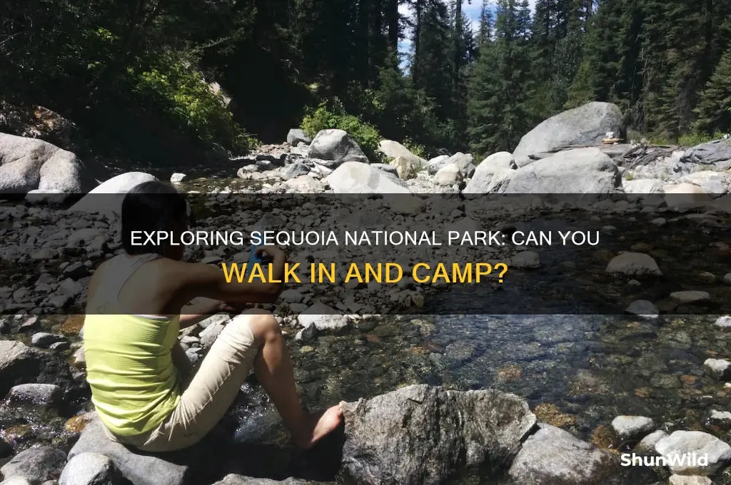 can i walk out and camp in squiar national park