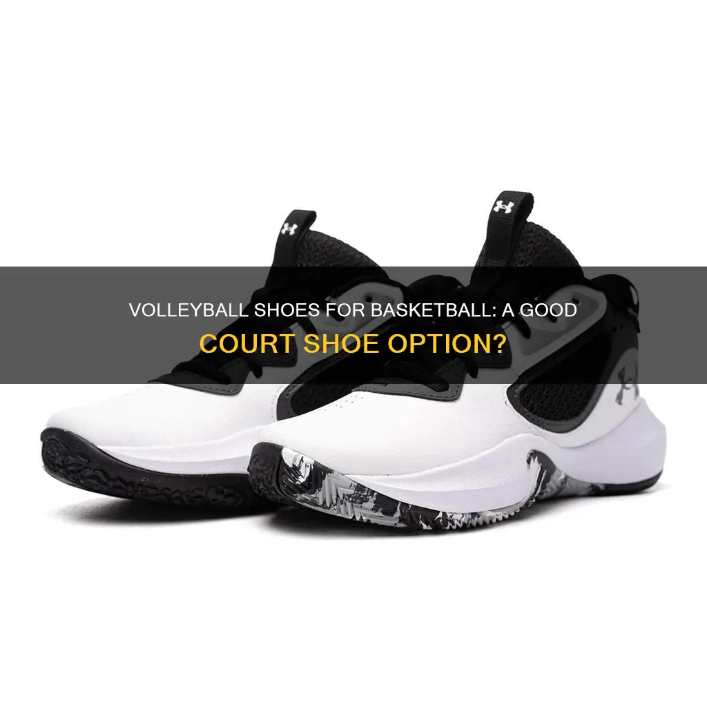 can i wear volleyball shoes for basketball