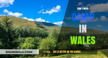 Wild Camping in Wales: Legalities, Tips, and Best Spots