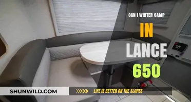 Winter Camping in a Lance 650: Tips and Tricks