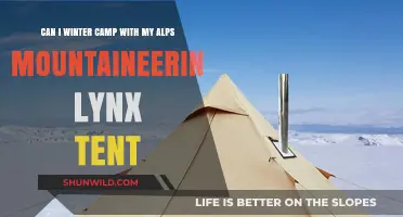 Winter Camping in Alps Mountaineering Lynx Tent: Tips and Tricks