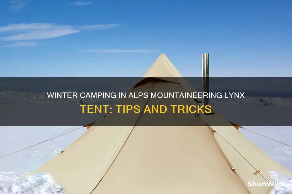 can i winter camp with my alps mountaineering lynx tent
