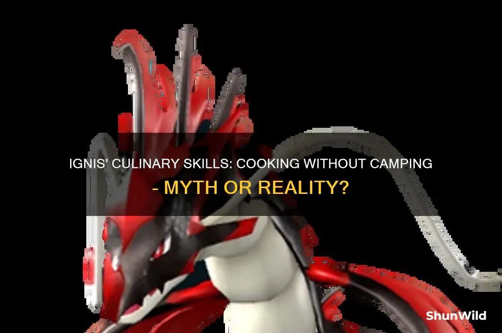 can ignis only cook without camping