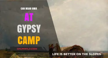 Can Iksar Bind at Gypsy Camp? Exploring EQ's Racial Mechanics