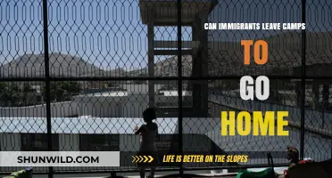 Can Immigrants Leave Detention Camps to Return Home? Exploring Options
