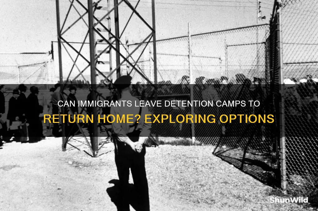 can immigrants leave camps to go home