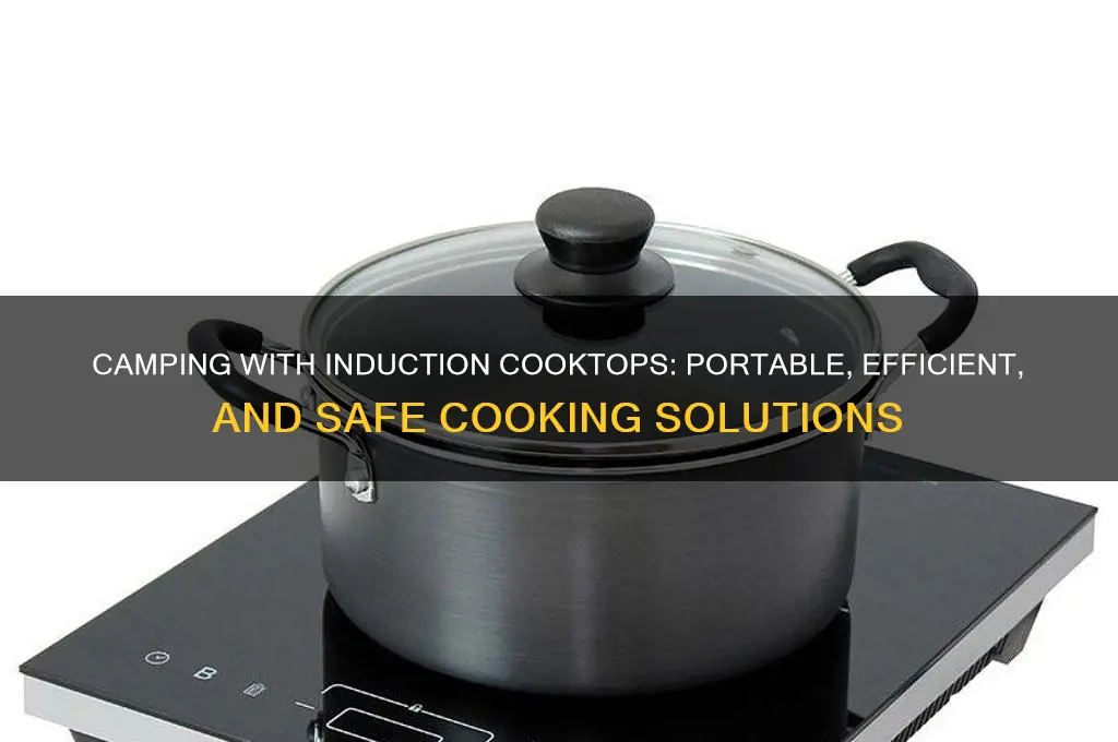 can induction cooktops be used when camping