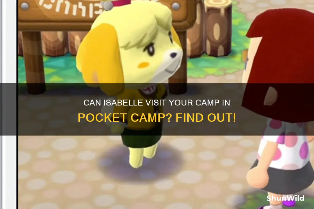can isabelle come to your camp pocket camp