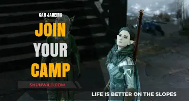 Can Jaheira Join Your Camp? Exploring Baldur's Gate Party Dynamics