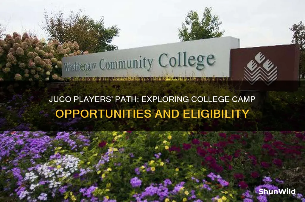 can juco players go to college camps