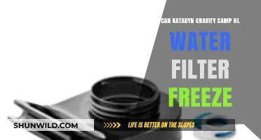 Can the Katadyn Gravity Camp 6L Water Filter Freeze?
