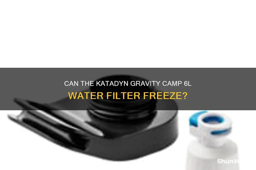 can katadyn gravity camp 6l water filter freeze