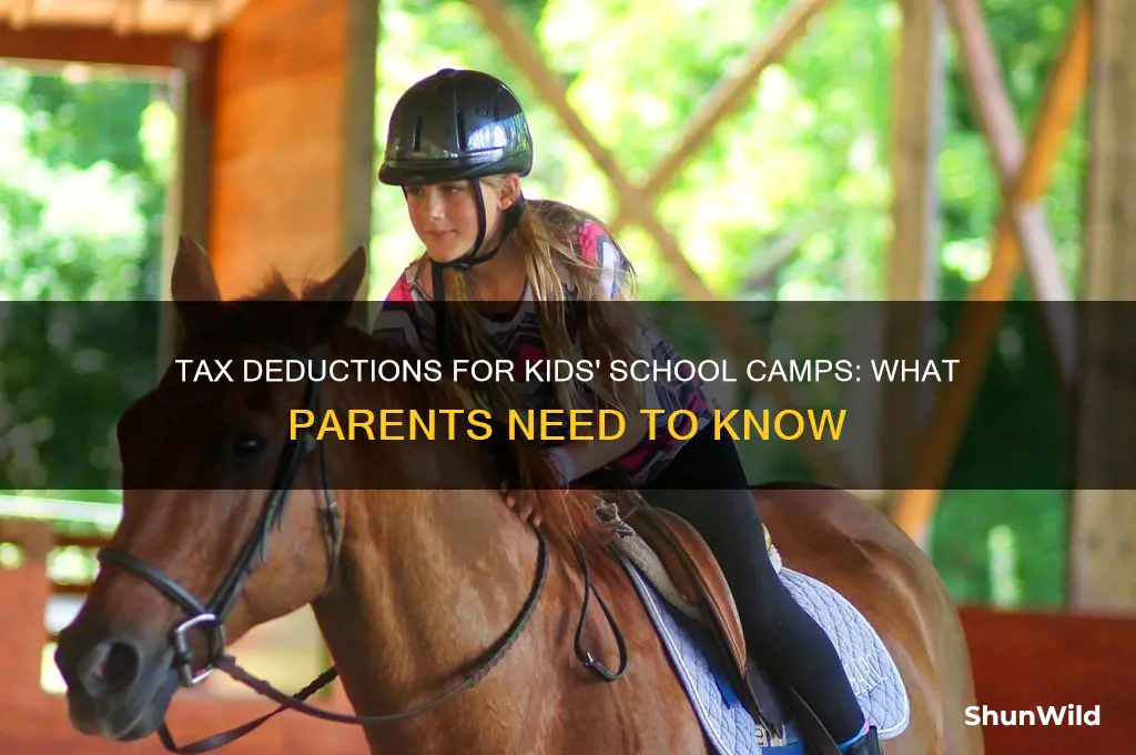can kids school camps be eligible for tax deductions