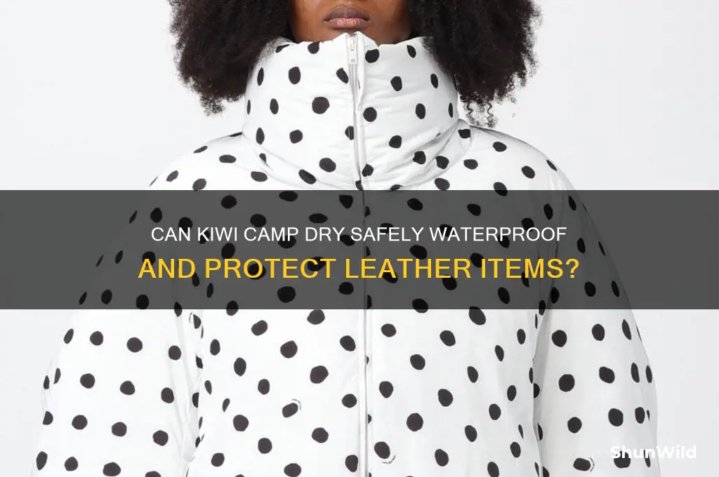 can kiwi camp dry be used on leather