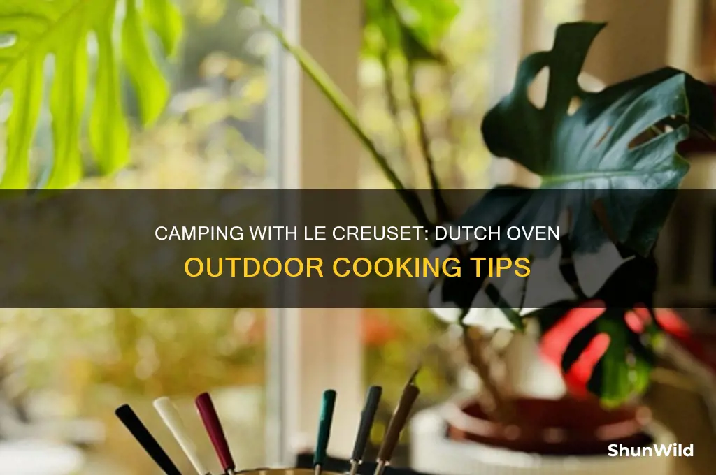 can le creuset dutch oven be used camping