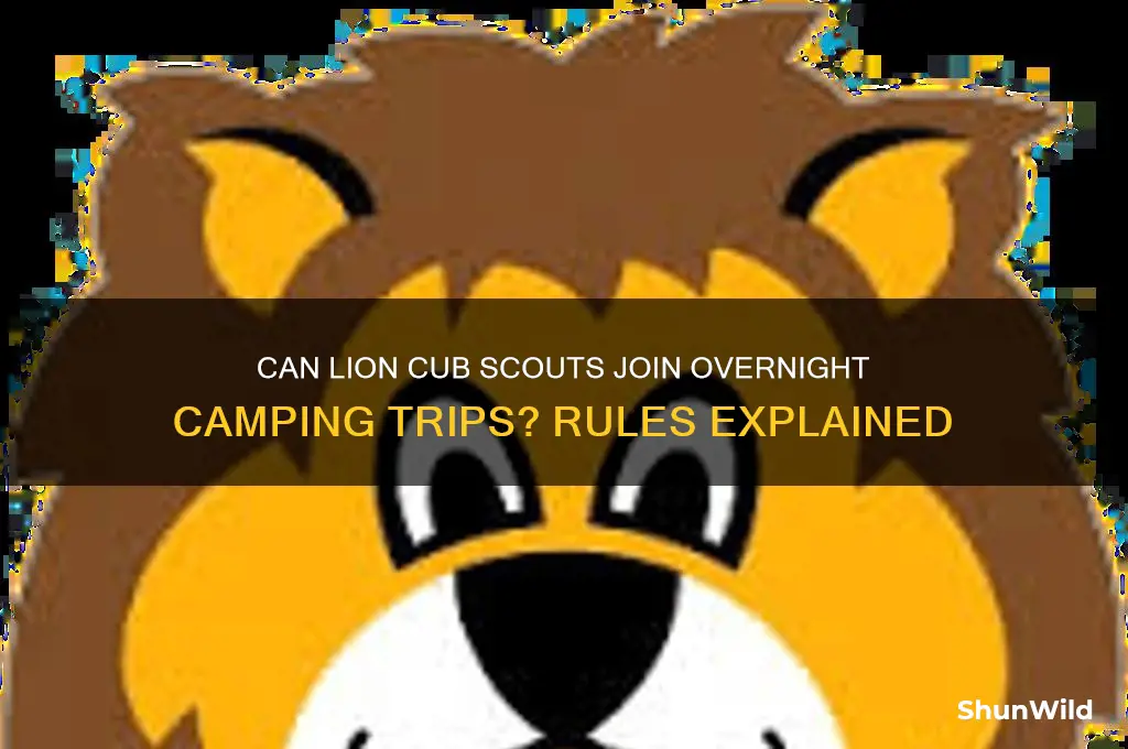 can lion cub scout attend overnight camping