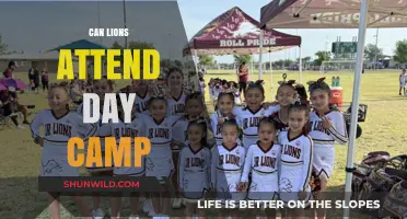 Can Lions Attend Day Camp? Exploring Unusual Pet Care Options